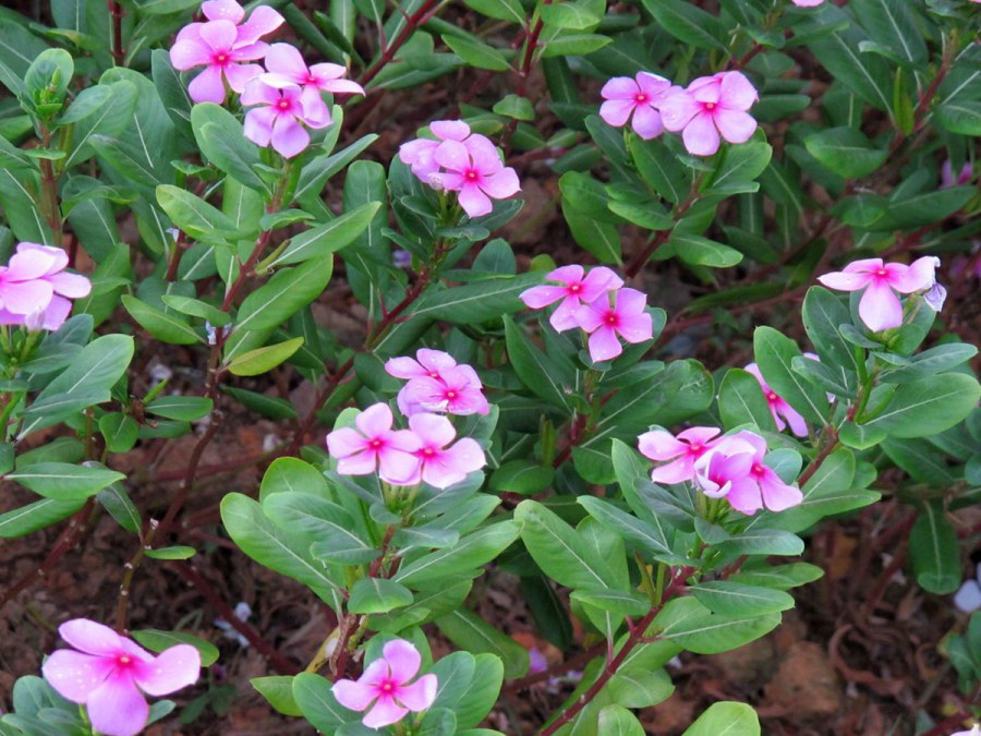 ���� 893_����.jpg