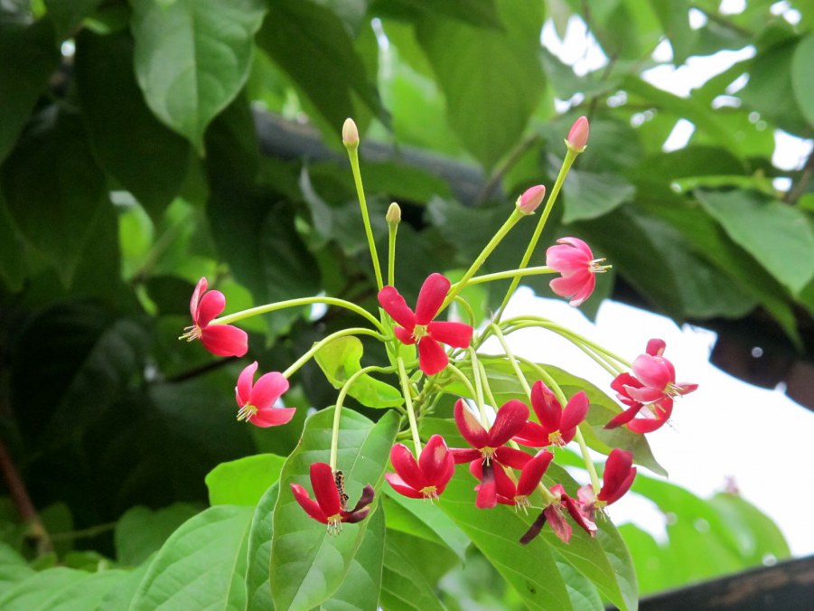 ���� 907_����.jpg