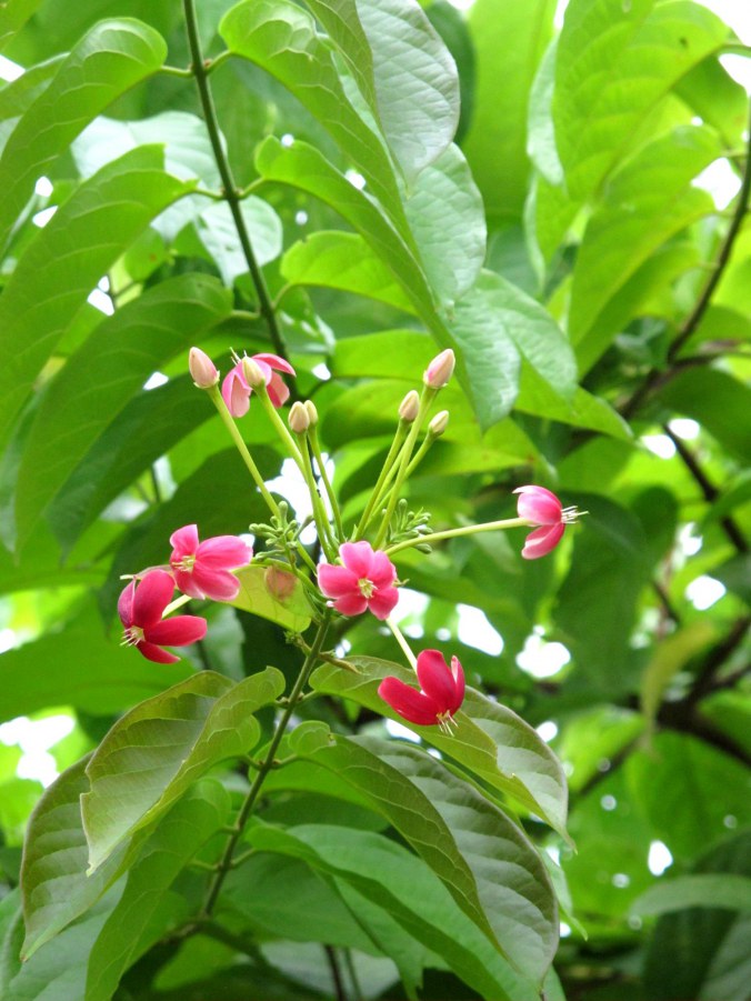 ���� 908_����.jpg