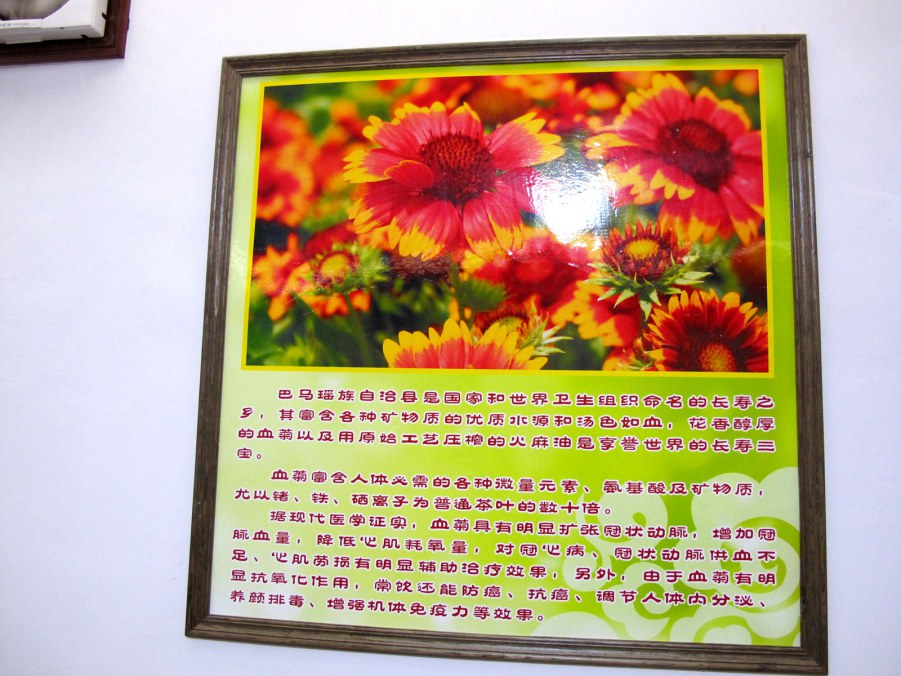 ���� 914_����.jpg