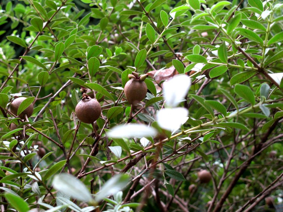 ���� 920_����.jpg