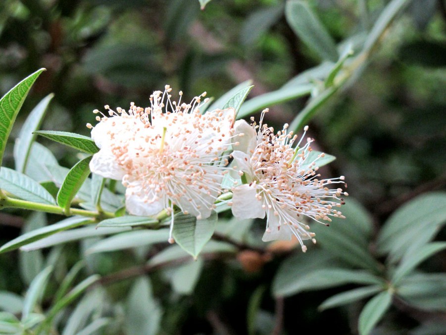 ���� 921_����.jpg