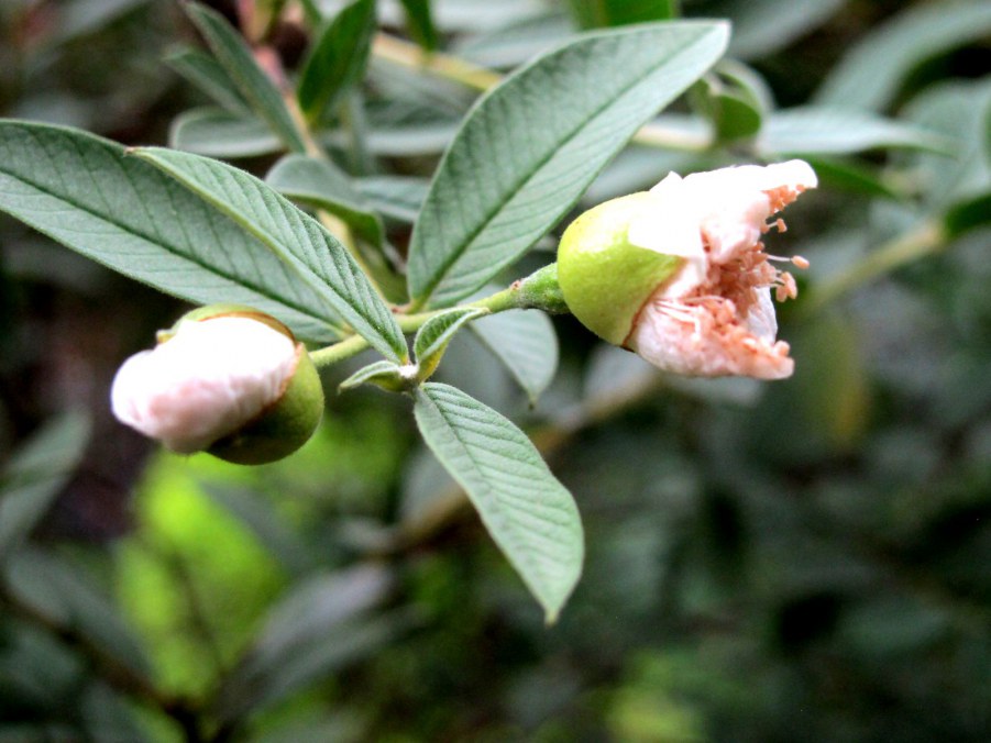 ���� 922_����.jpg