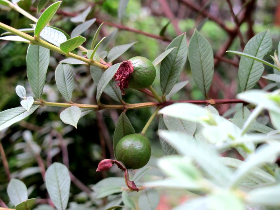 ���� 923_����.jpg