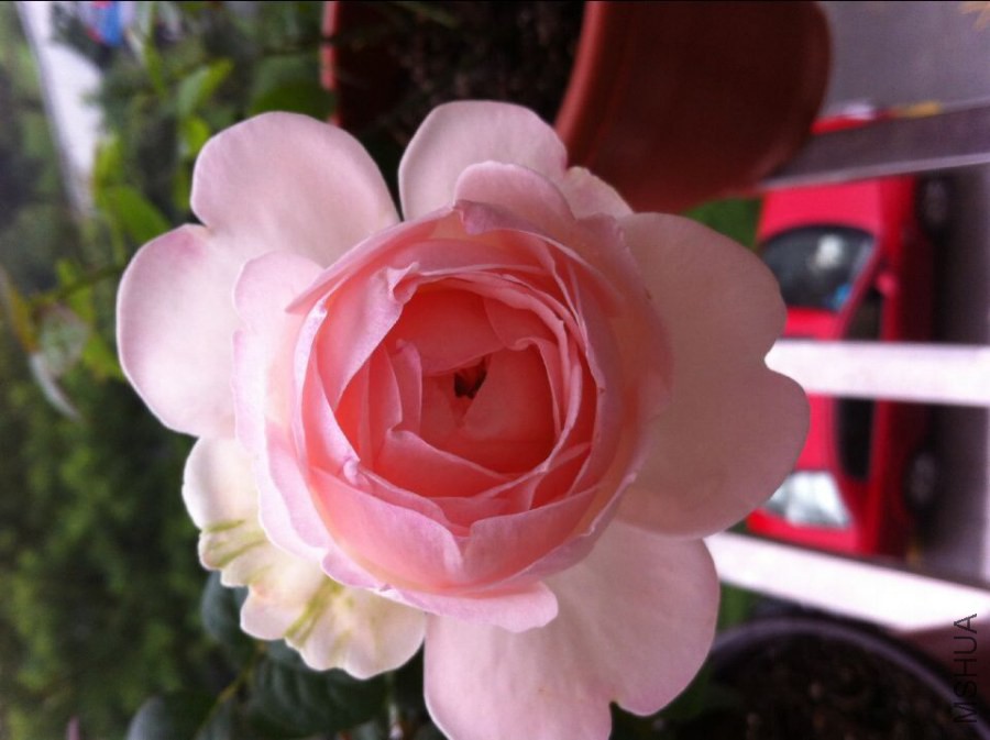 QQͼƬ20140922093630.jpg
