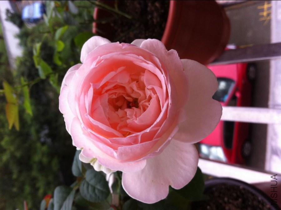 QQͼƬ20140922093637.jpg