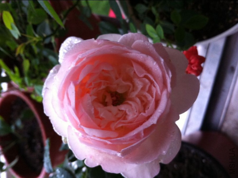 QQͼƬ20140922093645.jpg