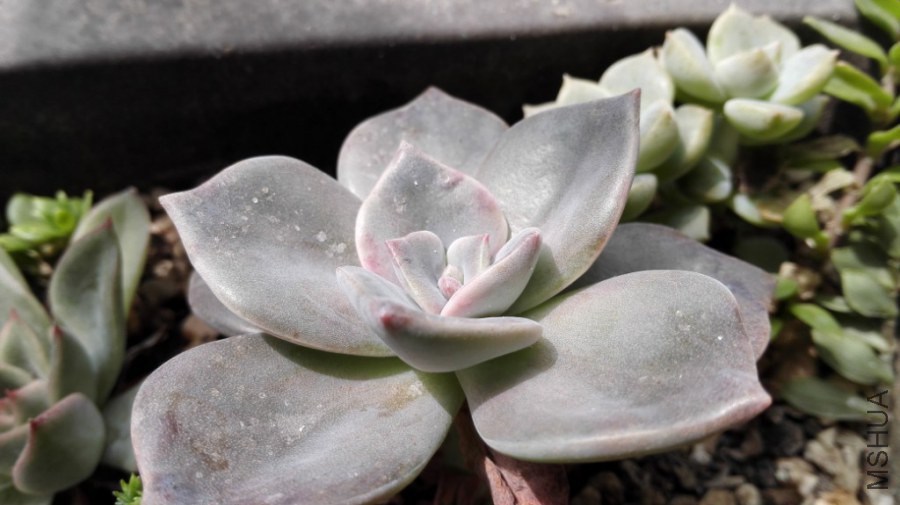 QQͼƬ20140922135523.jpg
