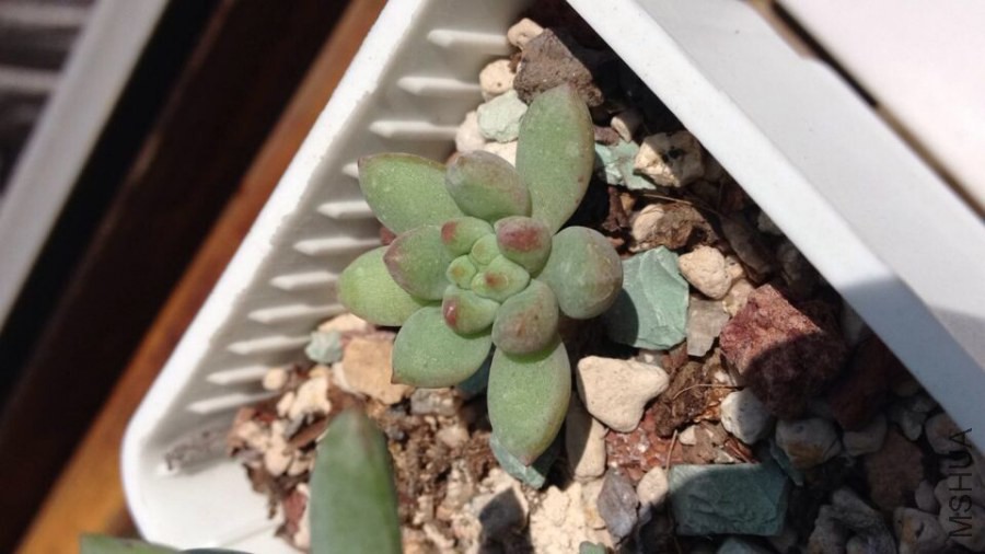 QQͼƬ20140922135417.jpg