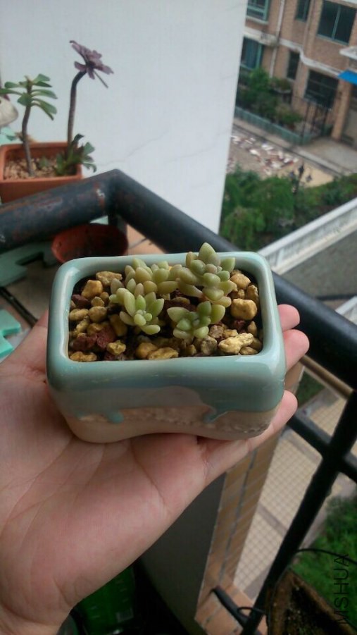 QQͼƬ20140922135358.jpg