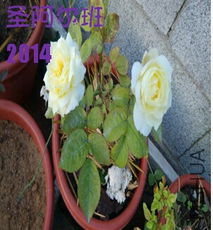 QQͼƬ20140923103432.jpg