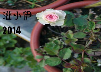QQͼƬ20140923103226.jpg