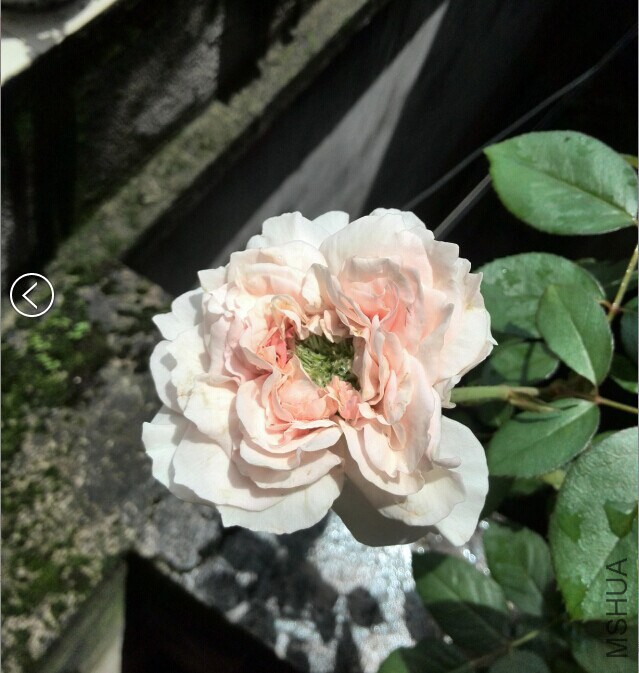QQͼƬ20140923113229.jpg
