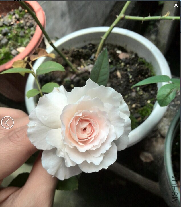 QQͼƬ20140923113244.jpg