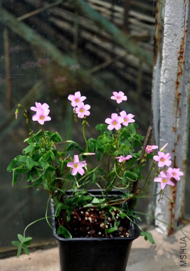 QQͼƬ20140923130331.jpg