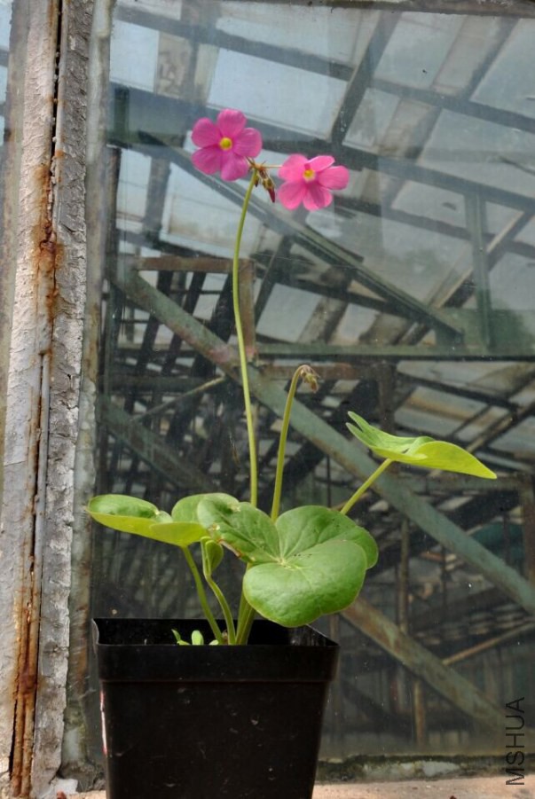 QQͼƬ20140923130341.jpg