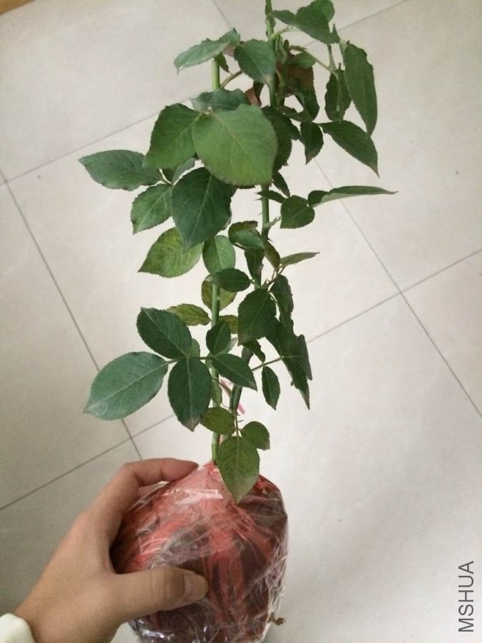 QQͼƬ20140923140835.jpg