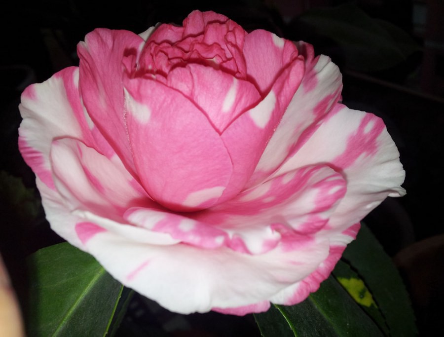 20140306_080349.jpg