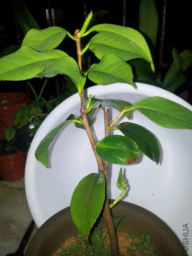 20140922_221937.jpg