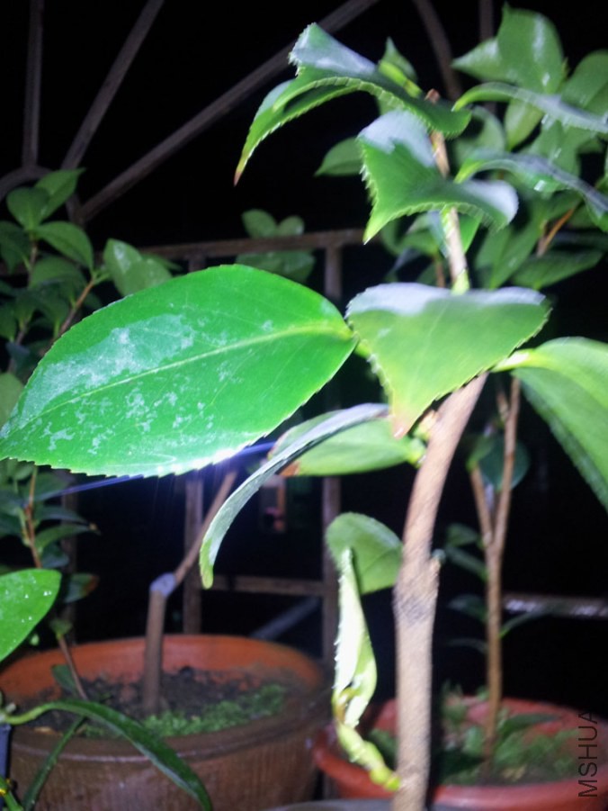 20140922_222345.jpg