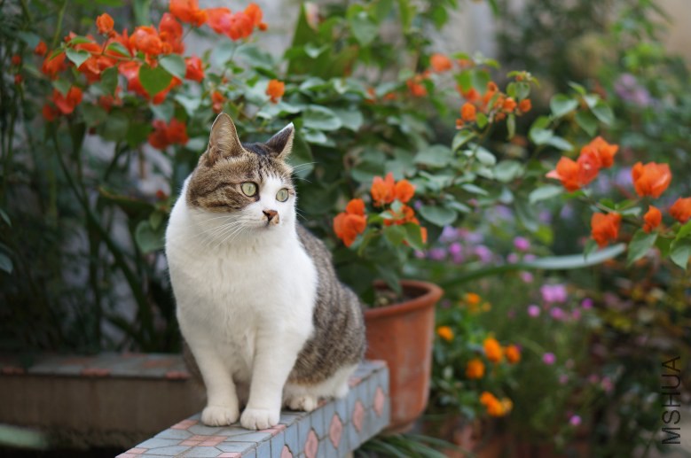 DSC07823_conew1.jpg