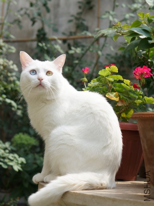 DSC07712_conew1.jpg
