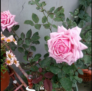 QQͼƬ20140923211700.png