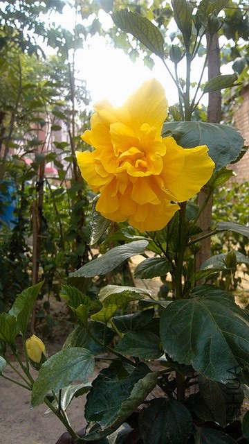 ������С IMG_20140718_141845.jpg