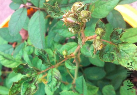 2014-09-23_200339.jpg