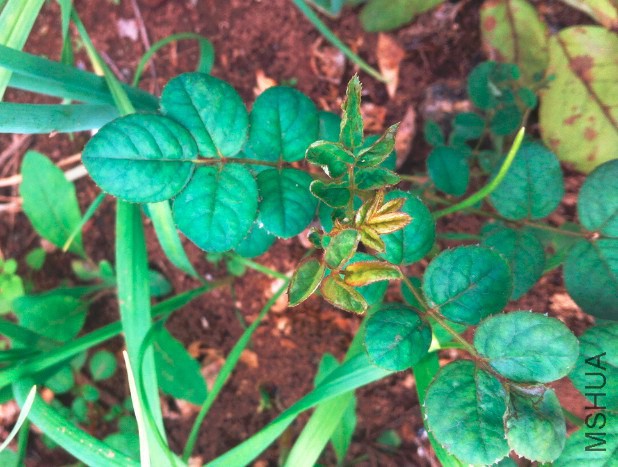 2014-09-24_104209.jpg