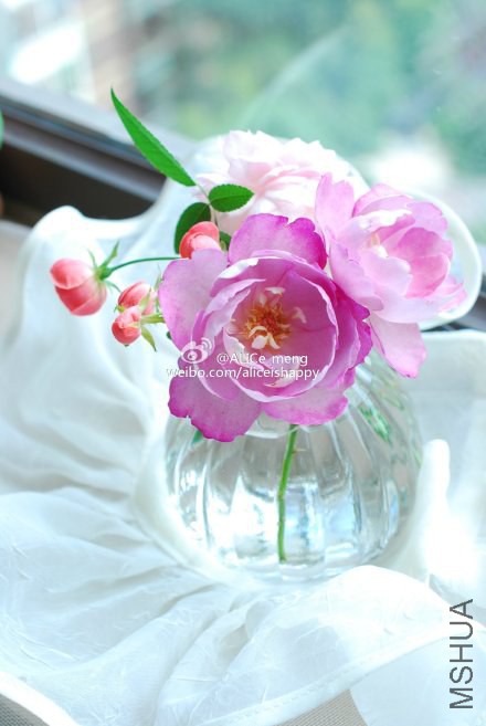 6919bfc6gw1eknha3uv0qj21221kwaha.jpg