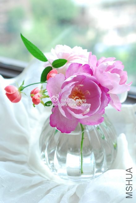 6919bfc6gw1eknha5np4vj21221kwtez.jpg