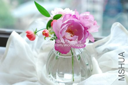 6919bfc6gw1eknha7na93j21kw122tex.jpg