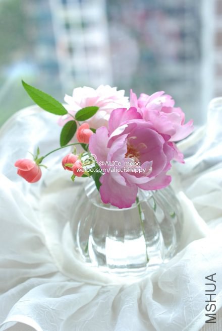 6919bfc6gw1eknha9mm4ij21221kwn35.jpg