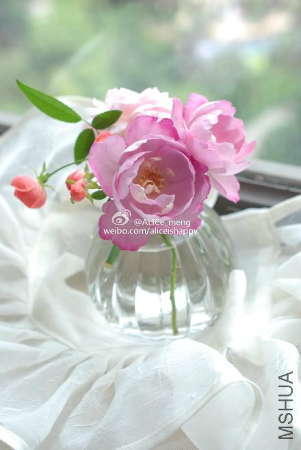 6919bfc6gw1eknhacznhcj21221kwwkc.jpg