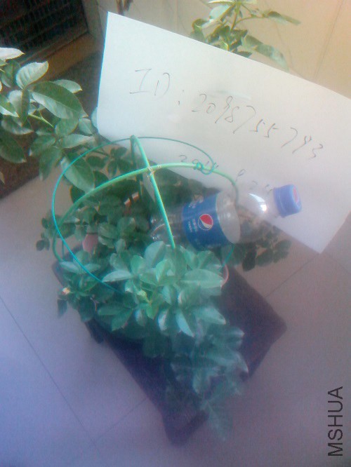 СħŮ1.jpg