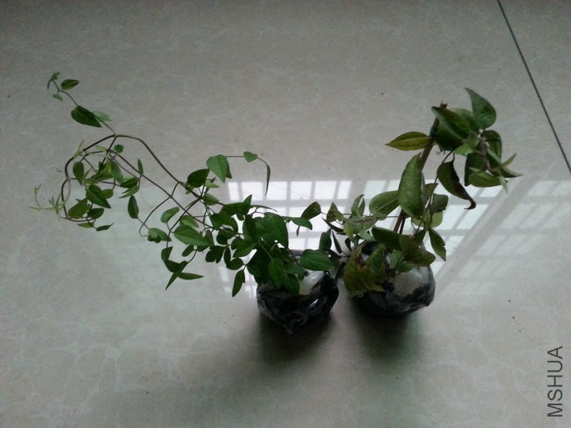 20140924_175727.jpg