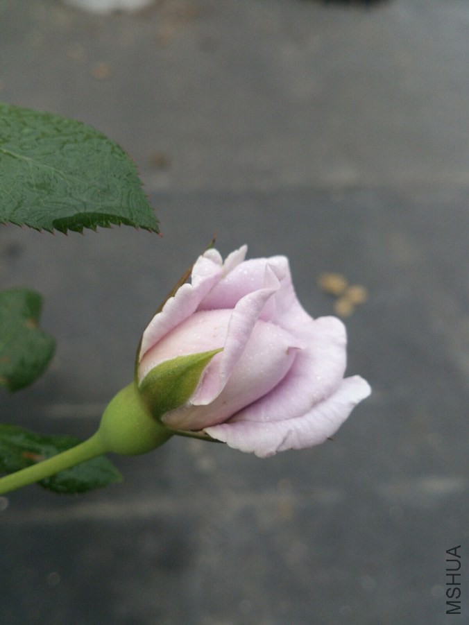 QQͼƬ20140925092239.jpg