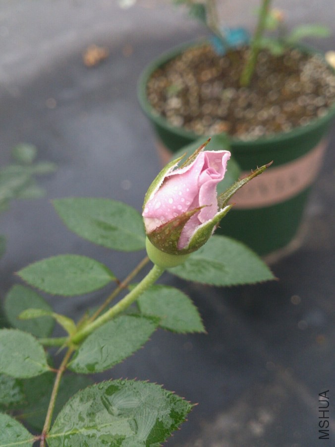 QQͼƬ20140925092249.jpg