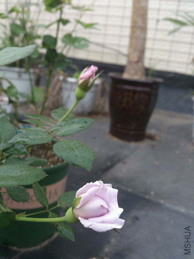 QQͼƬ20140925092253.jpg
