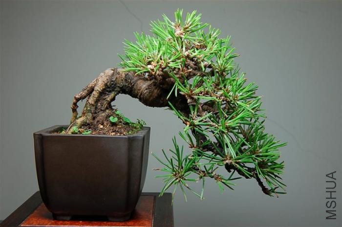 eaf81a4c510fd9f9dd2f2410252dd42a2834a48a (1).jpg