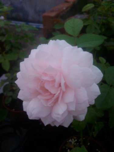 7d1b82e751986d9d.jpg