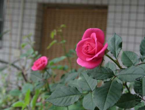-a13332c57ba64cc.jpg