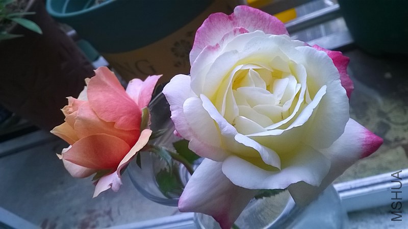 WP_20140925_006(1).jpg
