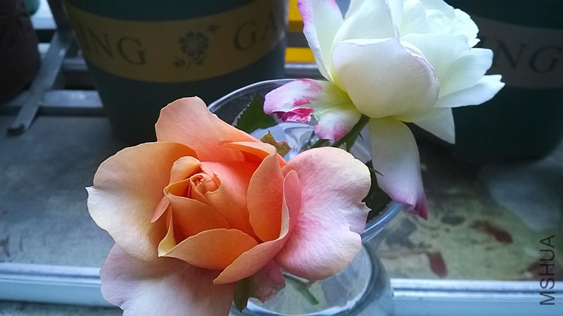 WP_20140925_007(1).jpg