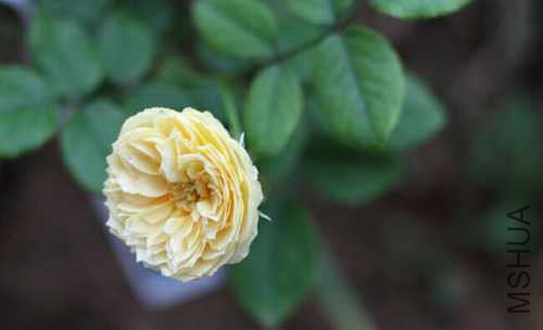 733f903c0fdff71.jpg