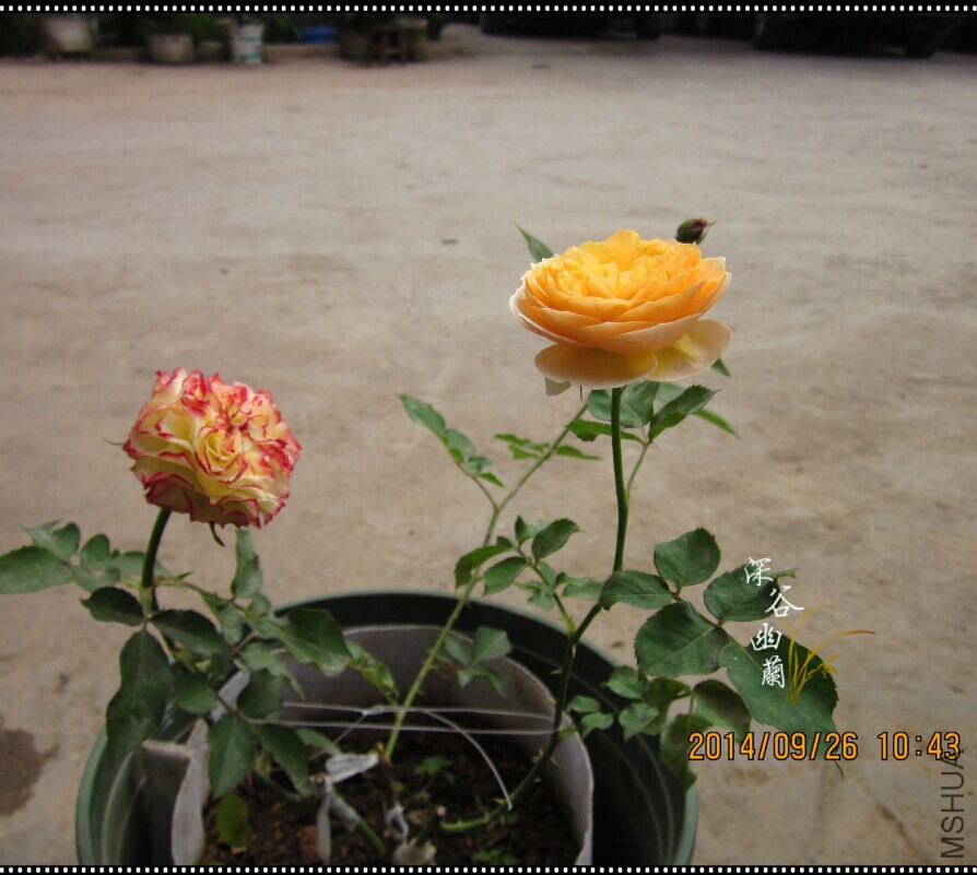 QQͼƬ20140926111104.jpg