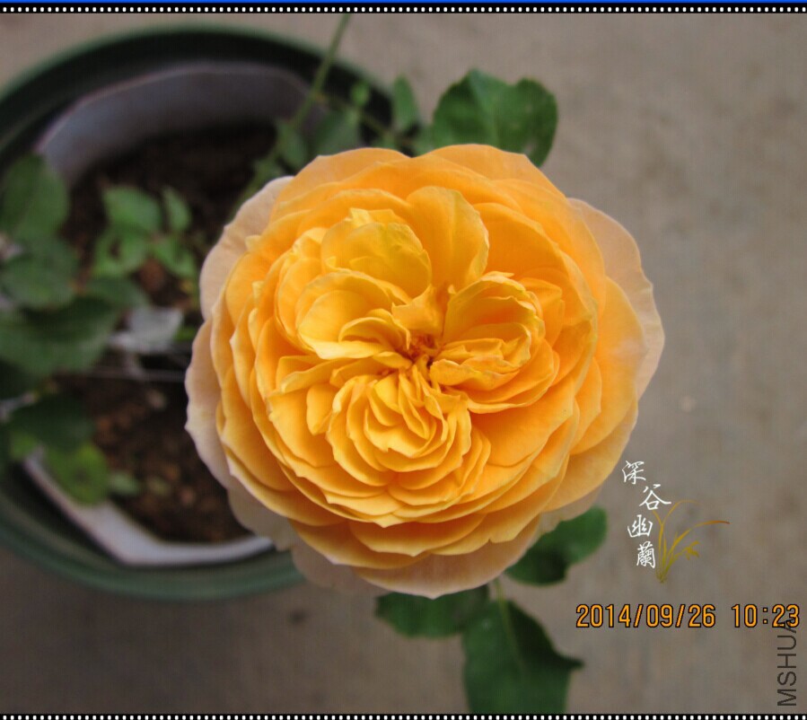 QQͼƬ20140926110809.jpg