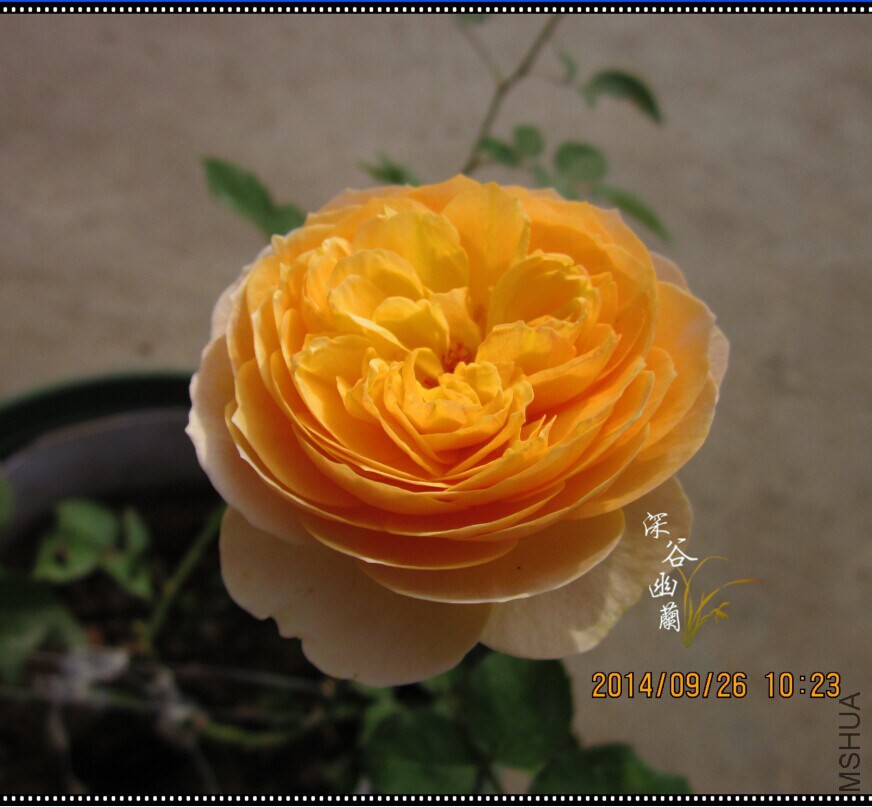 QQͼƬ20140926110721.jpg