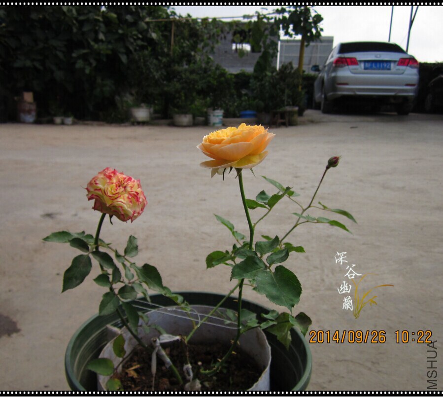QQͼƬ20140926110544.jpg